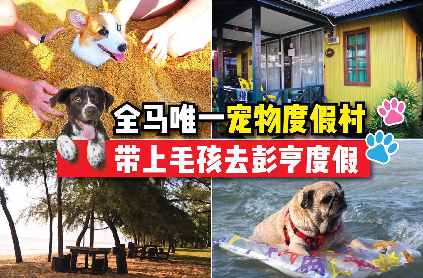 带上毛孩去 #彭亨 度假咯！
 【全马唯一一家 #宠物度假村 #Ruby‘sResort！】
 Gogogo！…