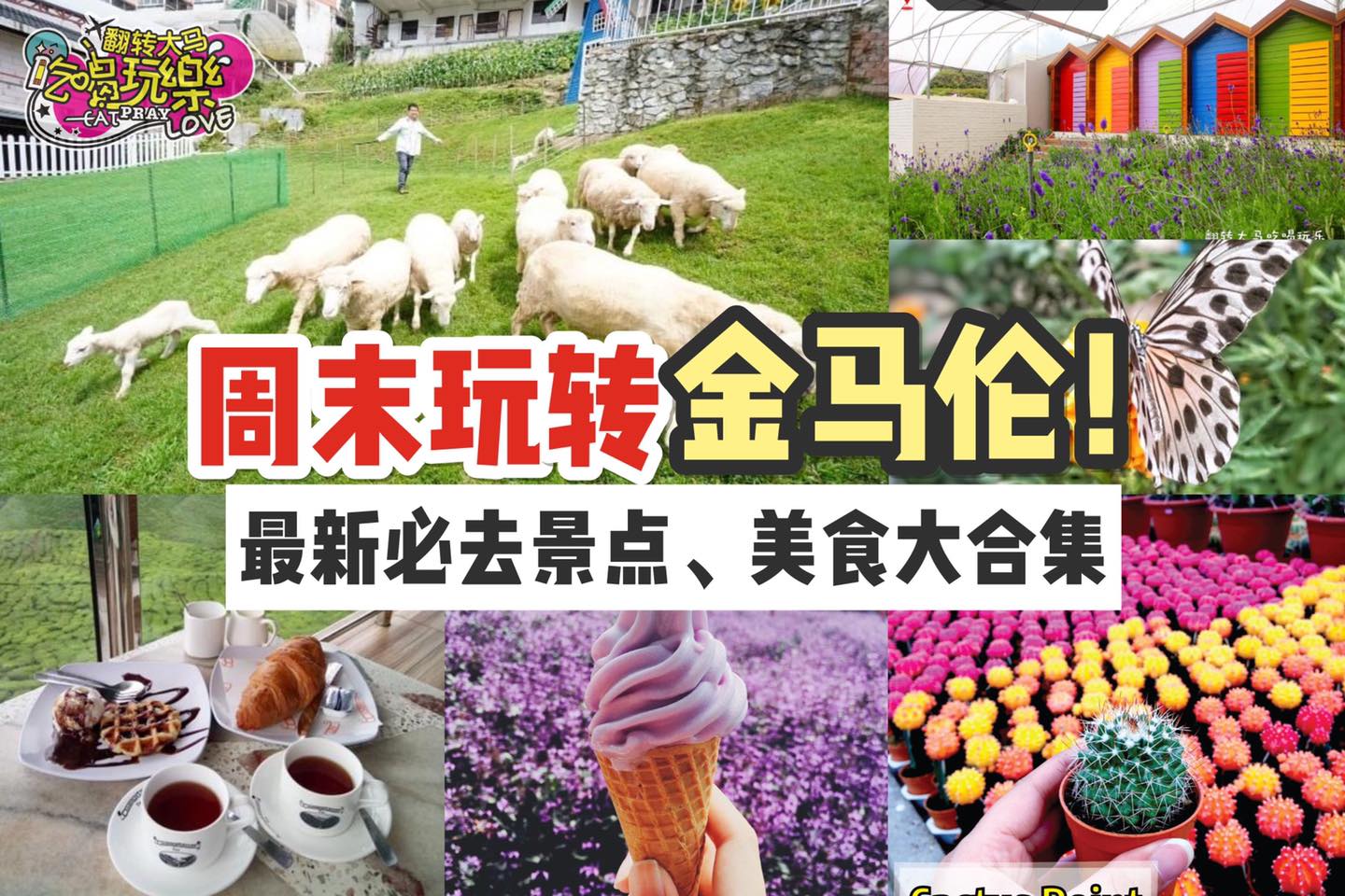 周末玩转 #金马伦 Cameron Highlands 
 【金马伦最新必去景点 、美食大合集！】
 2天1夜…