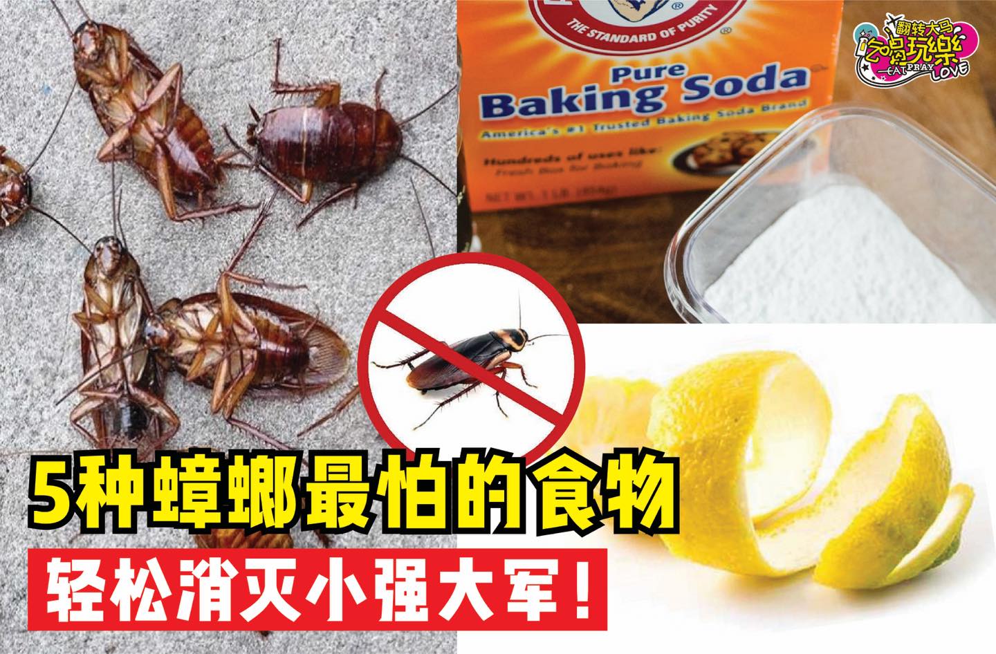 小强走开
 【消灭小强大军用这5⃣种 #蟑螂最怕的食物！】
 墙壁怎么突然出现一个不明黑体！原来…