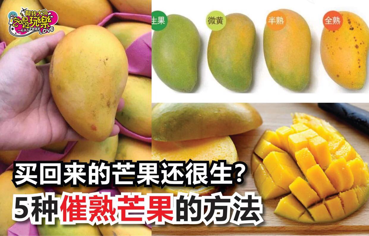 买回来的芒果还很生
 【教你5⃣种 #催熟芒果 的方法！】
 在巴刹买到还没熟的芒果怎么办？！吃…
