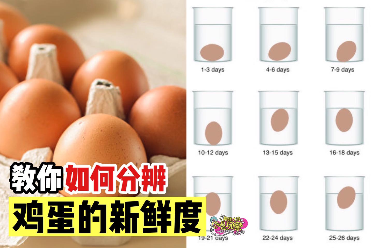 【教你快速分辨 #鸡蛋新鲜度】看看你家的鸡蛋坏了没
 很多食物，从外形和气味上就能辨别是否新鲜。但对于鸡蛋，因…