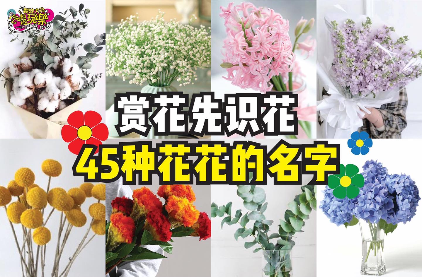 赏花先识花！
 【花店常用的45种 #花花名字！】内附鉴赏图！
 精致女孩学起来，常见的花束素材都在这里！即时…